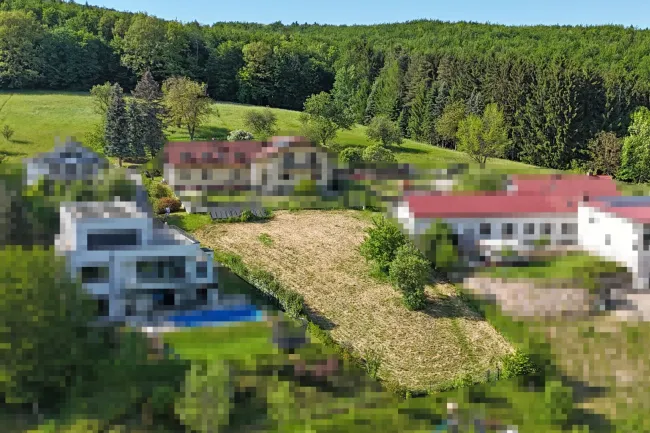 Blick über das gesamte Grundstück nach Osten
