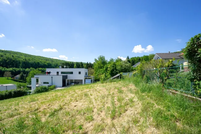 Blick über das gesamte Grundstück nach Osten