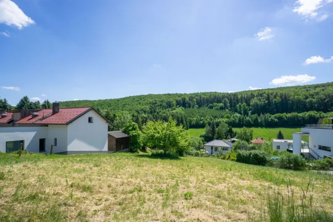 Blick über das gesamte Grundstück nach Osten