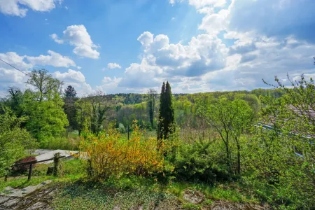 Wohnküche_Blick zur Terrasse und in den Garten