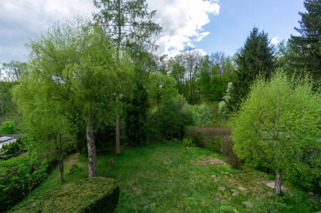Grünblick vom Balkon