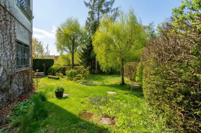 wunderschöner Garten