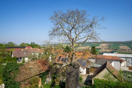 Ausblick Westterrasse