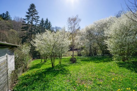 Grünlandanteil nach Süden mit Obstbäumen