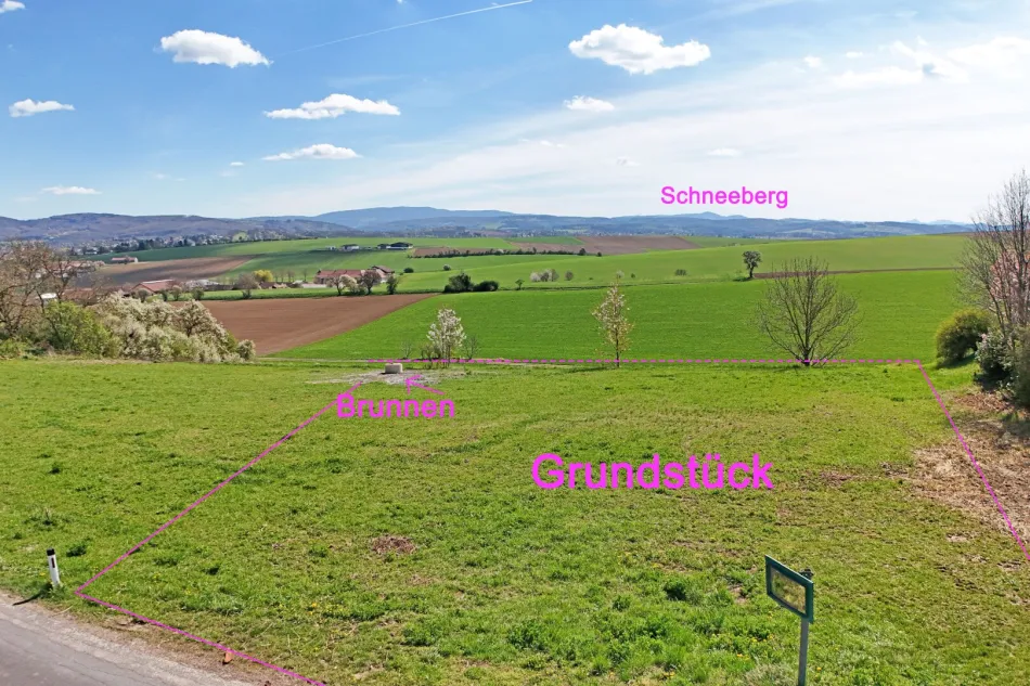 Liegenschaft