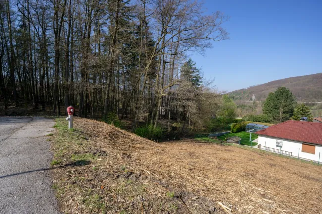 Süd nach Nord