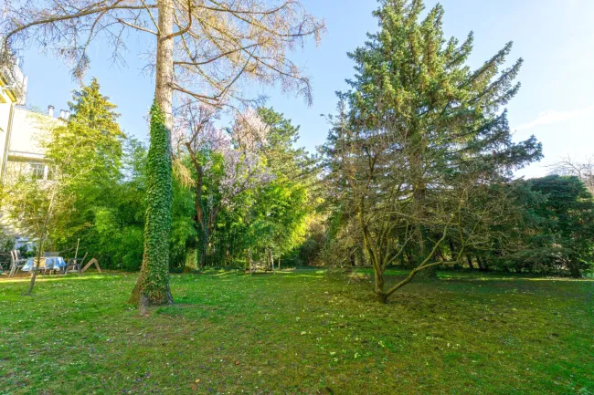 Allgemeingarten