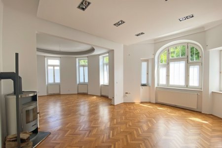 Wohn-Esszimmer