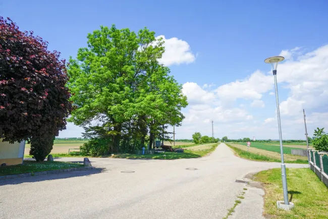 Umgebung_Radweg zum Bahnhof Tullnerfeld