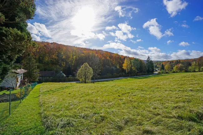 Großzügiges, naturnahes Grundstück in sonniger Ruhelage und mit herrlicher Aussicht - Bild