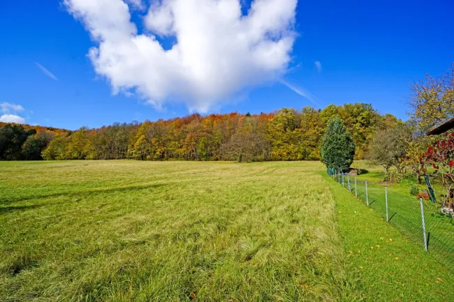 Großzügiges, naturnahes Grundstück in sonniger Ruhelage und mit herrlicher Aussicht - Bild
