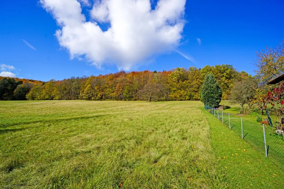 Großzügiges, naturnahes Grundstück in sonniger Ruhelage und mit herrlicher Aussicht - Bild