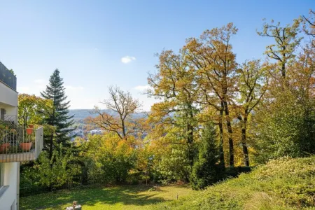 Ausblick Zimmer 2 bis zum Lainzer Tiergarten
