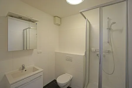 kleines Bad mit Dusche und WC