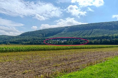 Lage Waldsiedlung