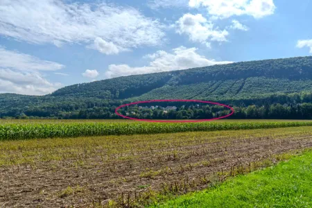 Lage Waldsiedlung