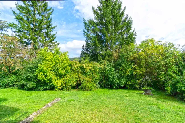 unterer Garten