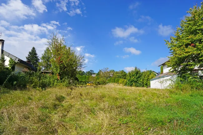 Ebenes Baugrundstück - ideal für Ihr Einfamilien- oder Doppelhausprojekt im Wienerwald - Bild