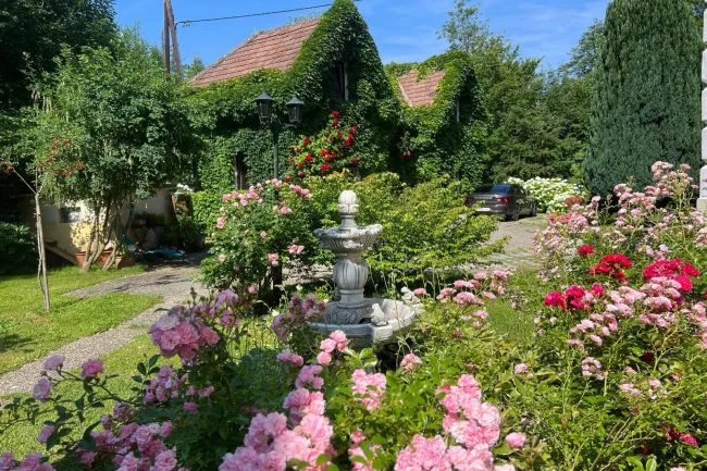 Terrasse und Garten