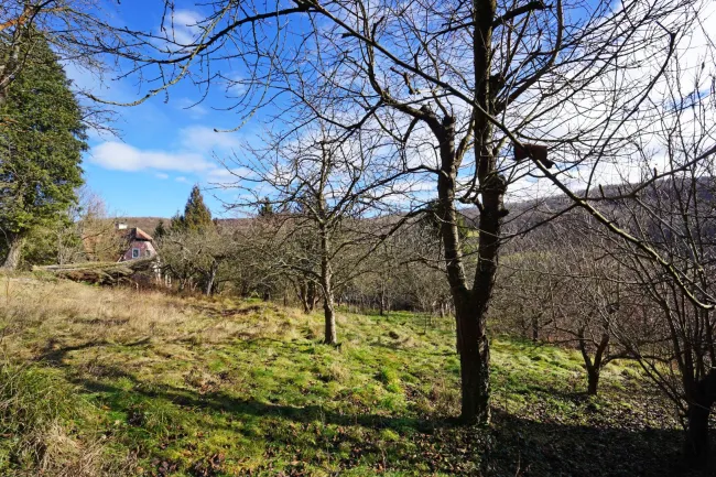 Grundstück mit Panoramablick an der Wiener Stadtgrenze - Titelbild