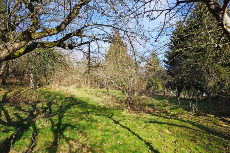 Grundstück mit Panoramablick an der Wiener Stadtgrenze
