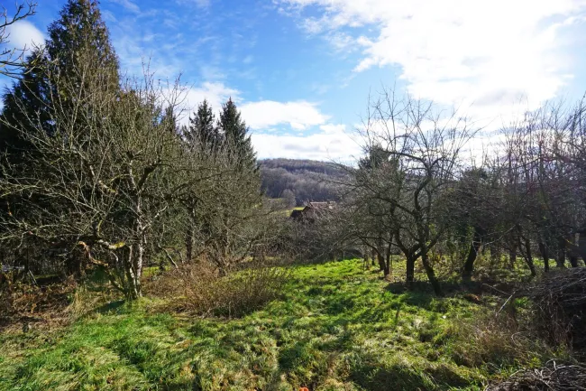 Grundstück mit Panoramablick an der Wiener Stadtgrenze - Titelbild