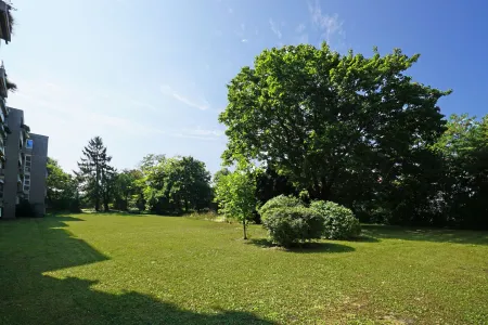 Riesiger Gemeinschaftsgarten