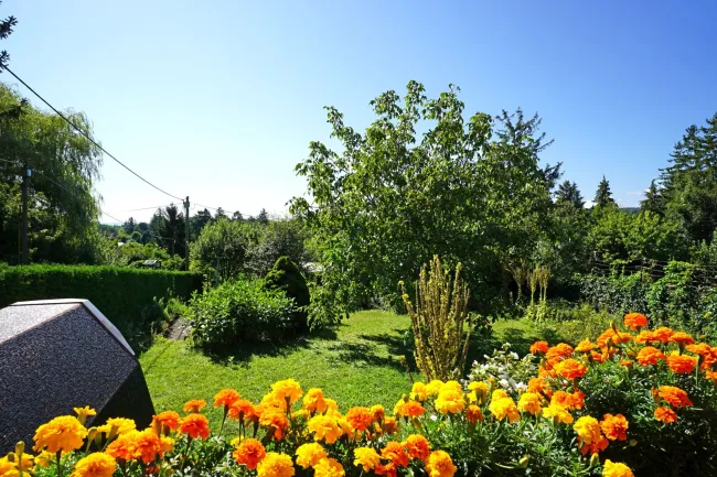 Blick von der Terrasse nach Süden über den Kleingarten
