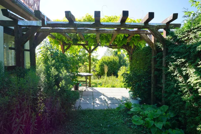 Pergola