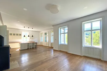 Wohnzimmer mit offener Küche