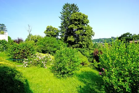 Vorgarten