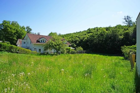 Blick nach Osten Richtung Wald