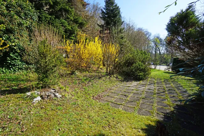 Garten Richtung SO