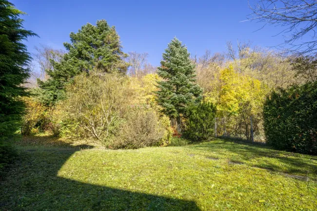 Eigengarten