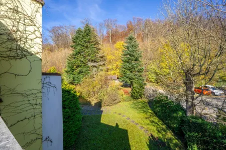 Blick von der Dachterrasse in den Garten und auf den Wienerwald