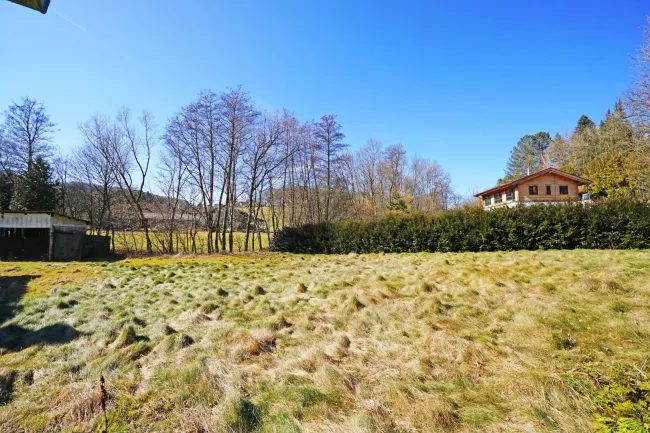 Hinterer Garten Richtung Nordwesten