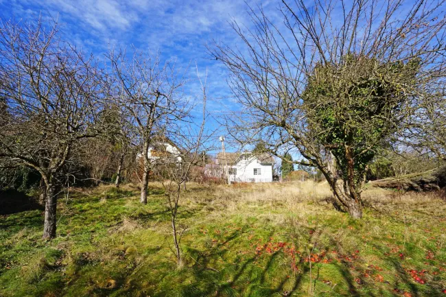 Grundstück mit Panoramablick an der Wiener Stadtgrenze - teilbar mit Bauträger-Eignung! - Bild