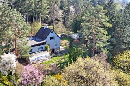 Grundstück aus Teilung in Waldrandruhelage zwischen Wolfersberg und Kolbeterberg