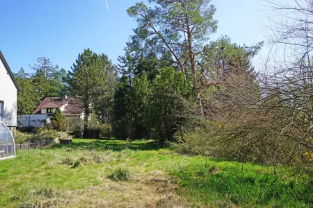 Villengrundstück in Waldrandruhelage zwischen Wolfersberg und Kolbeterberg