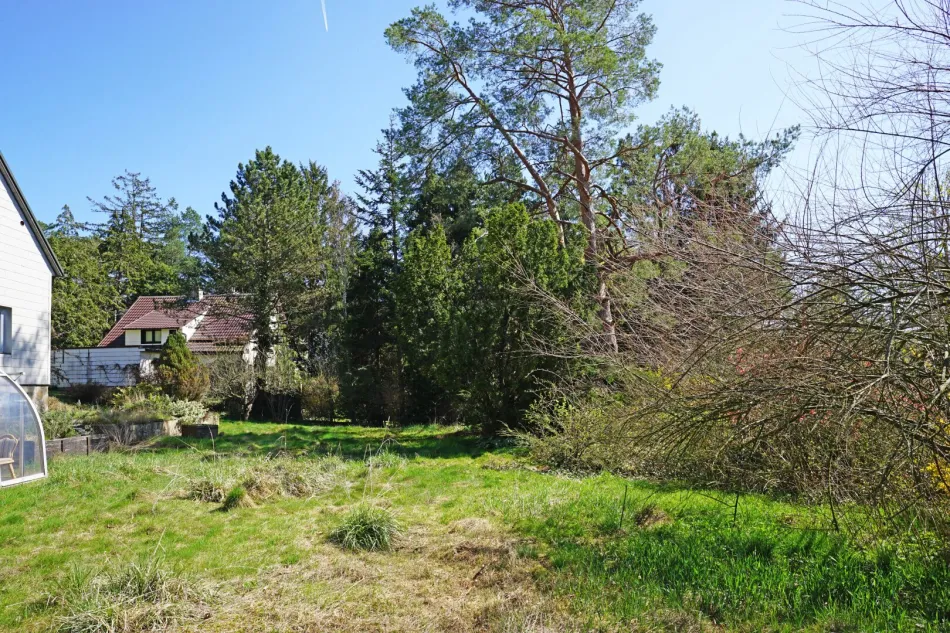 Villengrundstück in Waldrandruhelage zwischen Wolfersberg und Kolbeterberg - Bild