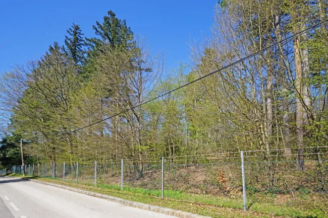 Villengrundstück in Waldrandruhelage zwischen Wolfersberg und Kolbeterberg - Bild