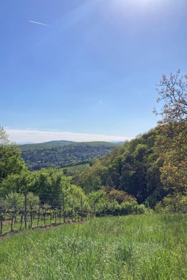traumhafter Fernblick