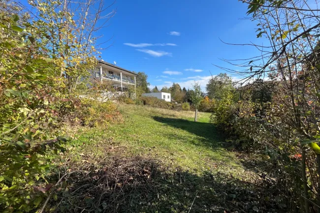 Blick über das Grundstück von Südwesten nach Nordosten