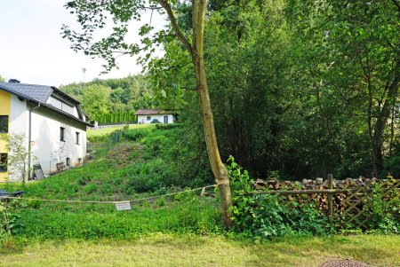Grundstück in Grünlage im Pressbaumer Zentrum