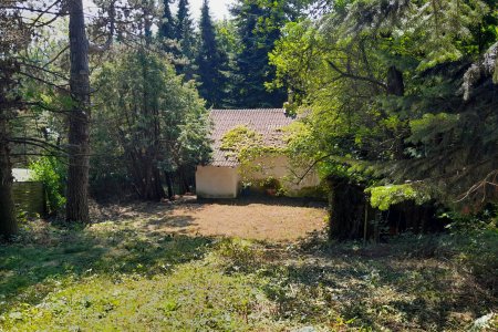 Großzügiges Baugrundstück mit Abbruchhaus und Grünlandanteil Nähe Purkersdorf