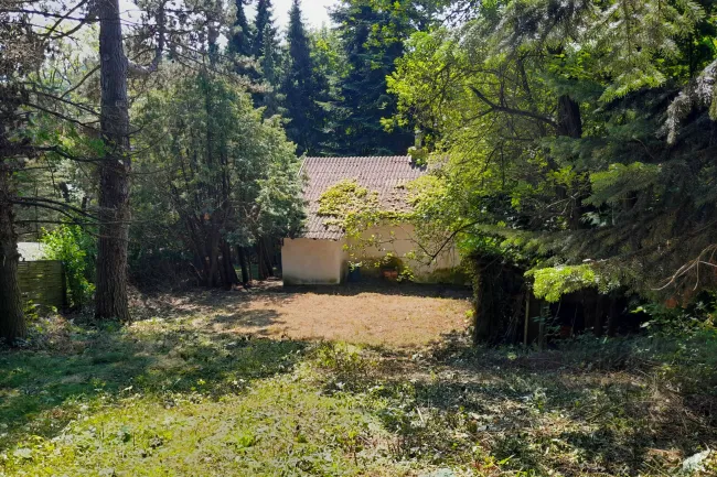 Großzügiges Baugrundstück mit Abbruchhaus und Grünlandanteil Nähe Purkersdorf - Bild