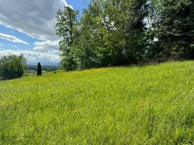 Ausblick nach Süden bis zum Ötscher