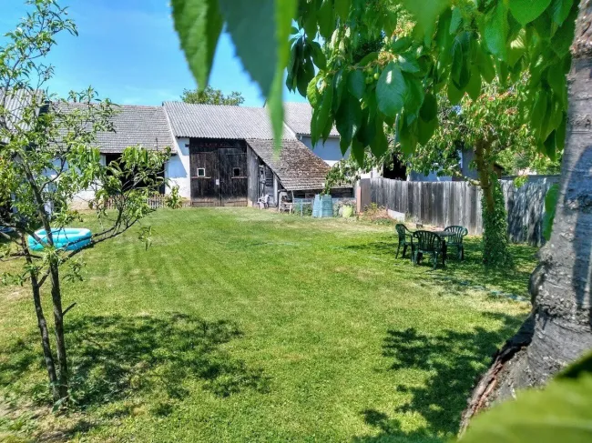 Leben im Thermenort: Bauernhof im sonnigen Lutzmannsburg - Bild