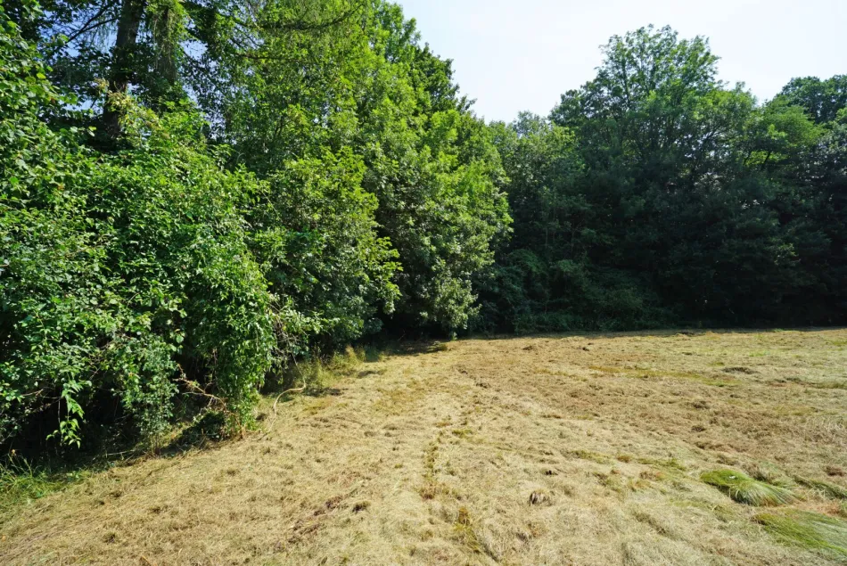 Ebenes Baugrundstück in sonniger Ruhelage nur 2 km vom Pressbaumer Zentrum - Bild