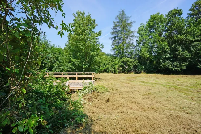 Ebenes Baugrundstück in sonniger Ruhelage - nur 2 km vom Pressbaumer Zentrum - Bild